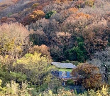 Tamano Cabin | Ensoh