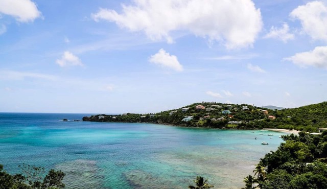 A Peace in Paradise too! in St Thomas