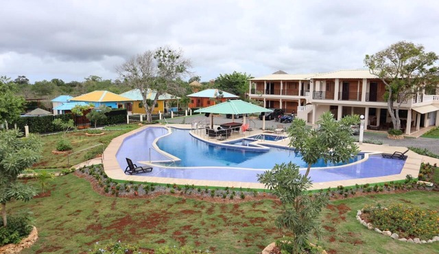 Amazing junior suites 1BR Coconuts 10 in Punta Cana