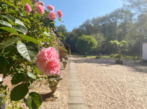 B&B Angelbeeck in Afferden