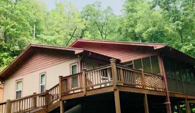 BearPaw Cabin- Charming and cozy cabin in the woods- WiFi-Pet Friendly-Secluded in Dillard