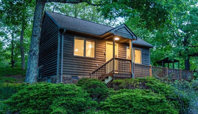 Bee Mountain Cabin fireplace, kitchen, jacuzzi in Lyndhurst