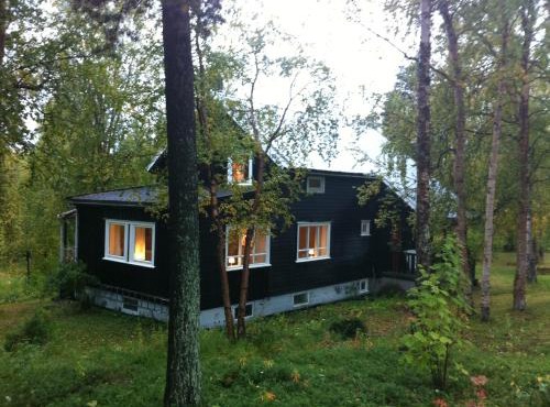 BIRK bed & birds in Svanvik