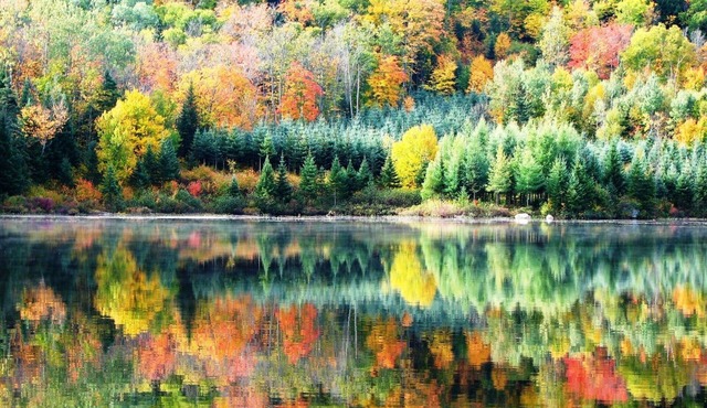 Breathtaking waterfront cottage 20 minutes from National Park and Ski Station in Saint-Jean-des-Piles