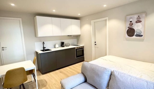 Bright & Cozy Studio - Central Location in Oslo