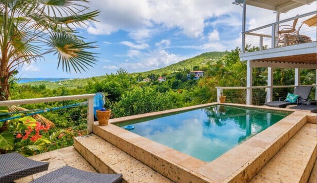 Charming 2 Bed 2 Bath Private Villa with Infinity Pool in St. John