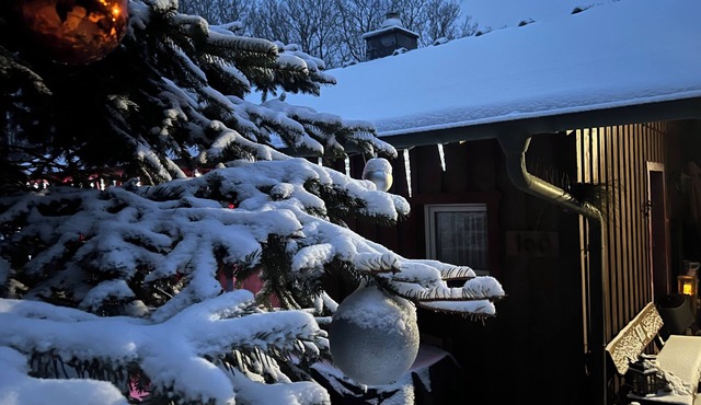Climate-Friendly Vacation Home in the Eifel – Near the Nürburgring & the Ahr Wine Region in Lind