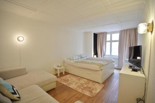 Cozy City Center, 4 Bedroom, New Kitchen, 120sq, 5min walk to Main Station in Basel