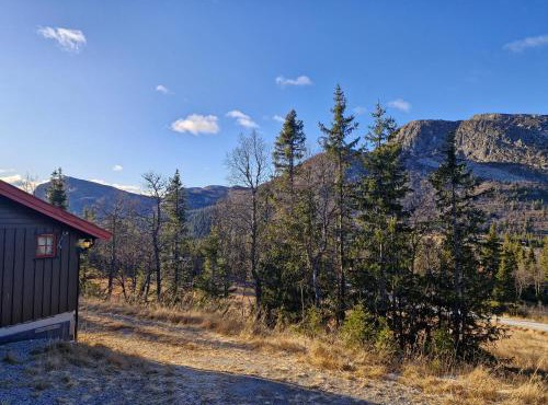 Fjellvang in Vikberget