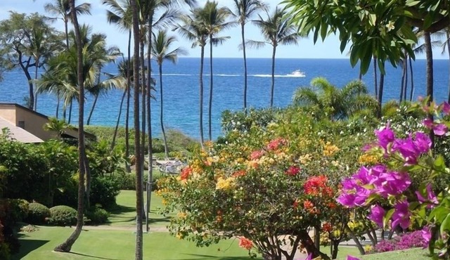 Ground Floor Unit; Stone's Throw to Beach and Pool in Kihei