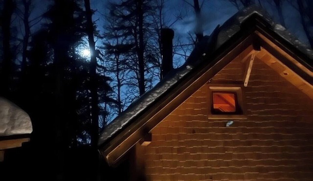 Mini chalet Le Tourne-Bille, authentic log construction. in Saguenay