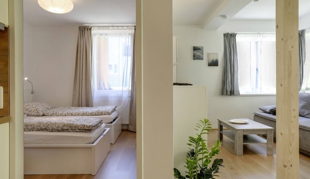 Modern Apartment "Habicht" with Wi-Fi, Garden and Terrace in Mühlbachl