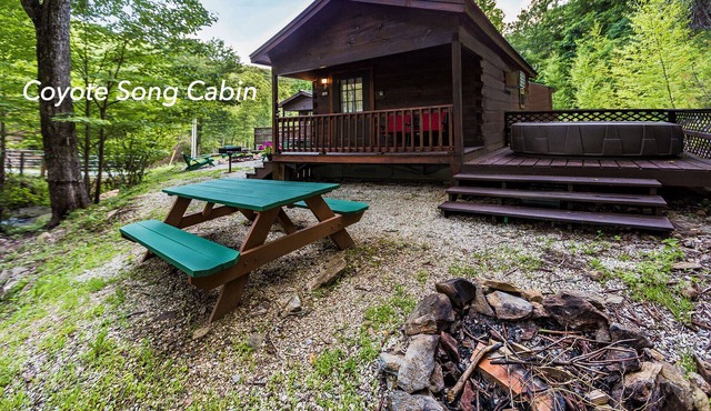 Mountain serenity close to hiking, rafting, fishing and kayaking. "Coyote Song" in Topton