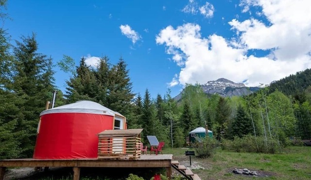 Off-Grid Red Yurt in the wood in Blaeberry