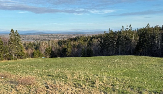 Relaxing 2BR Unit Near Hiking & Scenic Drives Sleeps 5 |Great Cabot Unit 17 in Baddeck