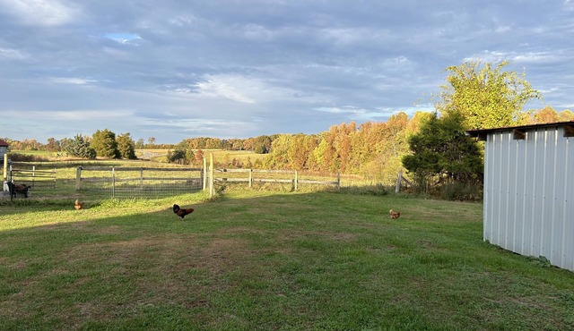 Restful new cottage facing woods and paths near historic sites & biking trails in Pamplin
