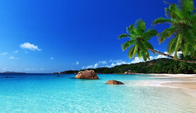 Salt Life at Sapphire Beach in Saint Thomas