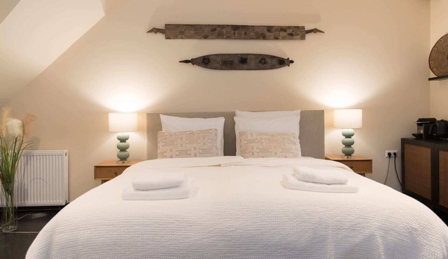 Six Boutique Hotel - Room with Bathtub and Sauna in Haarlem