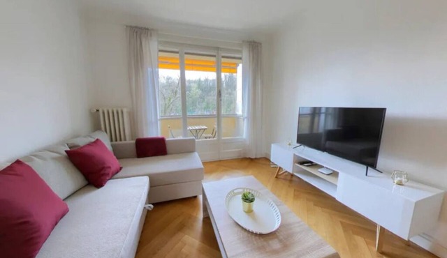 Spacious 1-Bedroom Apartment w/River Views & Balcony - Jonction District in Genève