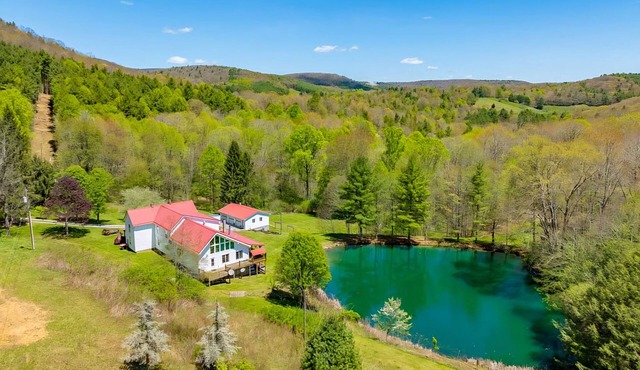 Spacious 5-bedroom house w/fishing pond, WiFi, hot tub in Grayson Co Mountains in Troutdale