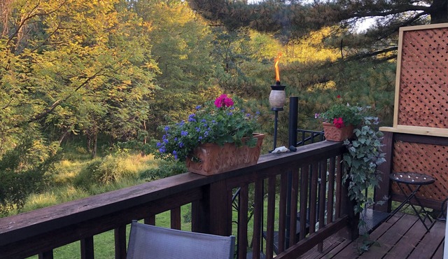 Sunny Peaceful Suburban Washington DC Escape in Silver Spring