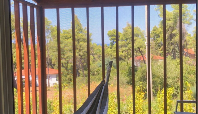 The PineCabin, a sweet little house surrounded by pine trees and cute squirrels! in Vourvourou