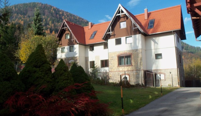 Villa Wellspacher - Private Luxury Family Apartment 2 in Semmering - Ski Holiday in Semmering-Kurort