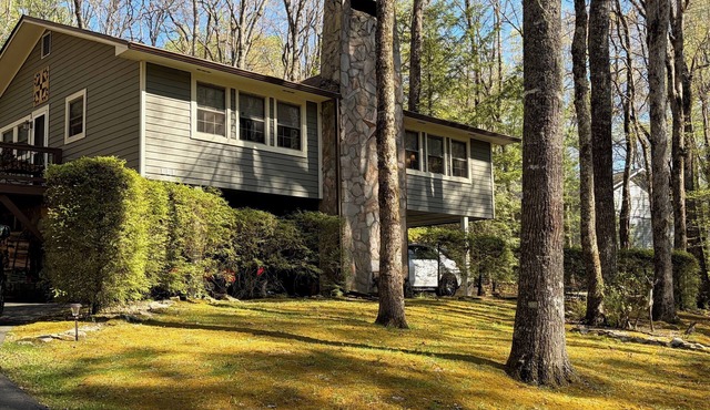 Your Home Away from Home-Spacious Escape in the Mountains in Sky Valley